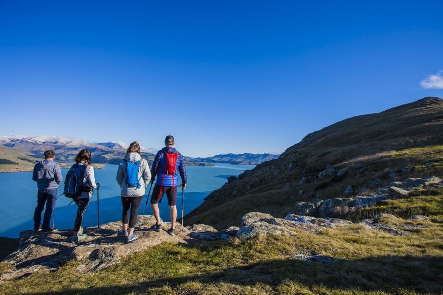 Christchurch: Guided Crater Rim Walk with Picnic - How the Lyttelton port pickup works