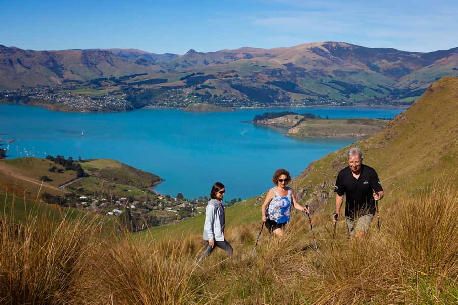 Christchurch: Guided Crater Rim Walk with Picnic - What $138 buys you