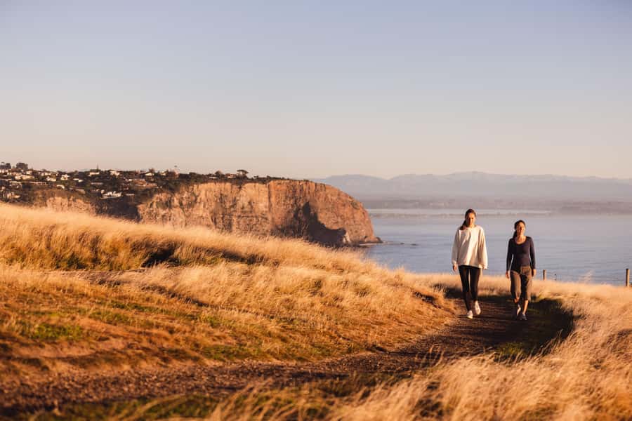 Christchurch: Guided Crater Rim Walk with Picnic - Taylors Mistake sets the tone