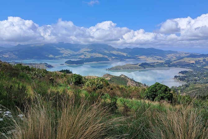 Christchurch Highlights Tour (Full Day Private) - Port Hills offers the tour’s broadest view