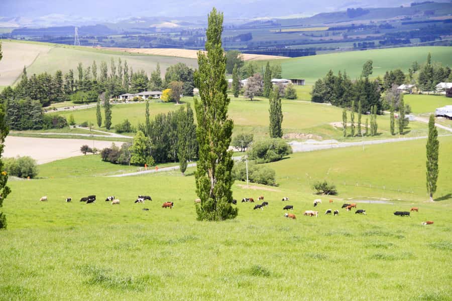 Christchurch: Lake Tekapo Stargazing & Mount Cook 2-Day Tour - Mt Cook village and the Hooker Valley walk