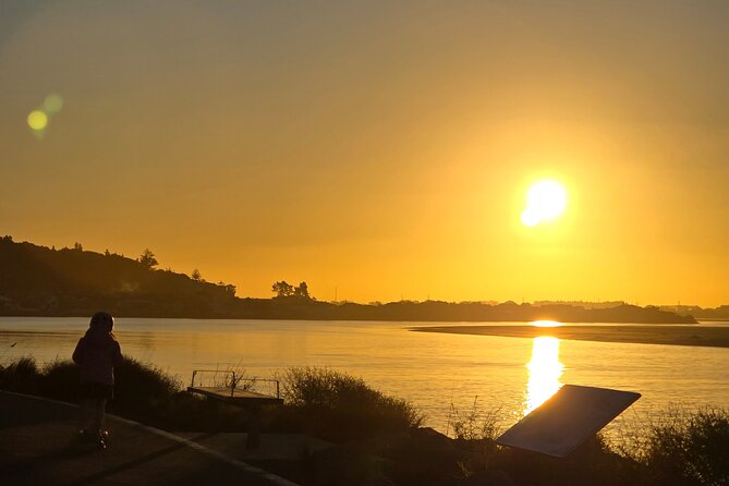 Christchurch Private Tour (Premium) Full day - Timing, transport, and group size