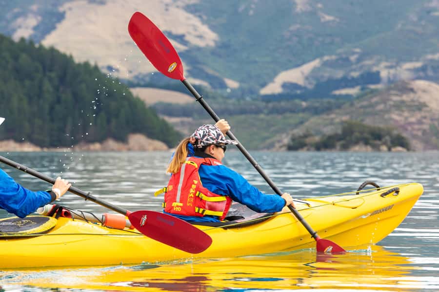 Christchurch: Sea Kayaking Tour of Lyttelton Harbour - Small bays and rocky cliffs around Whakaraupō