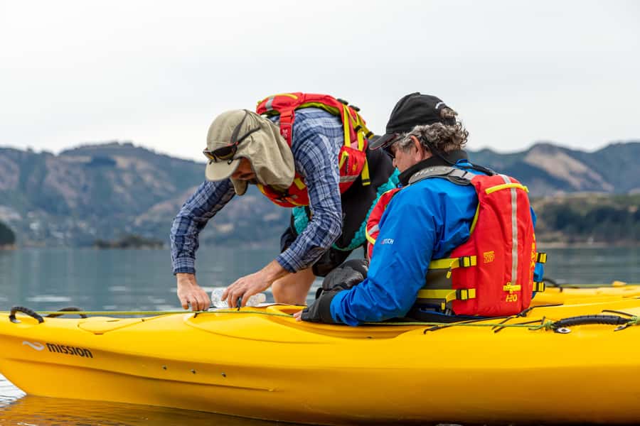 Christchurch: Sea Kayaking Tour of Lyttelton Harbour - Crossing to Otamahua Quail Island