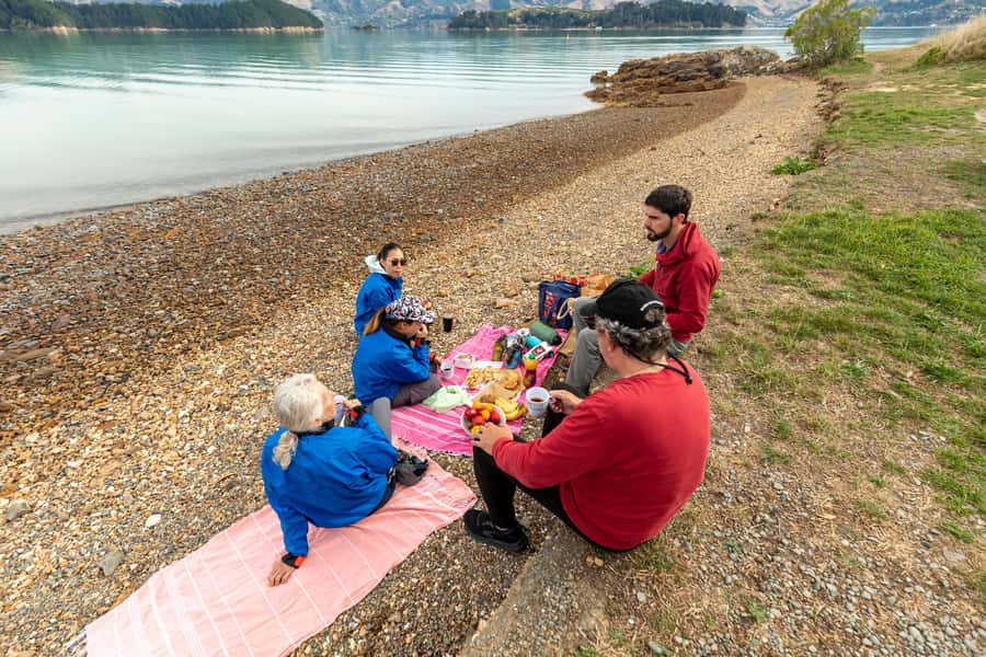Christchurch: Sea Kayaking Tour of Lyttelton Harbour - Caves and the northern end of the island