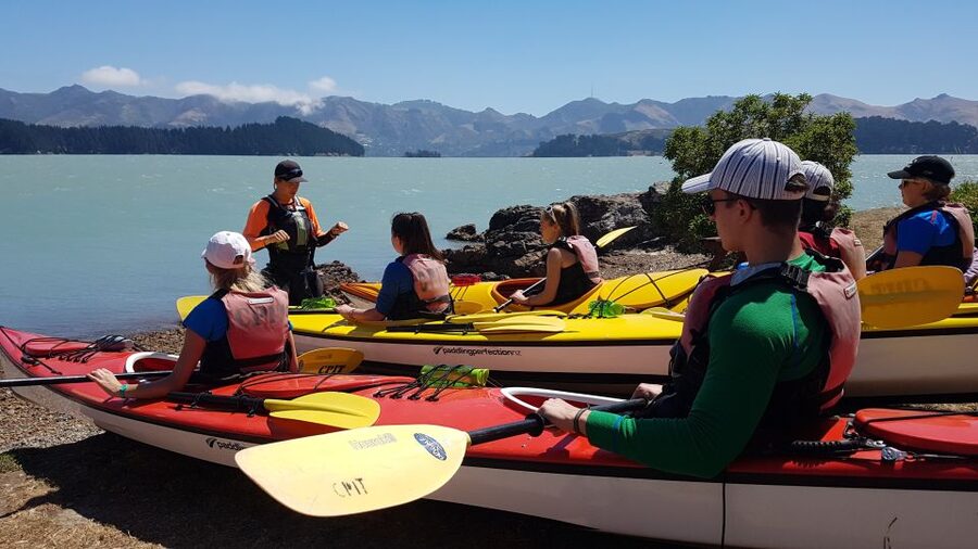 Christchurch: Sea Kayaking Tour of Lyttelton Harbour - What the $268 price really covers