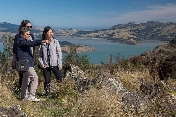 Christchurch Sightseeing Pass - Three Christchurch views in one pass