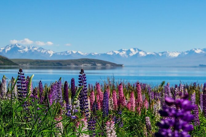 Christchurch to Mt Cook via Lake Tekapo One Way Small Group Tour - Arriving beneath Aoraki Mt Cook