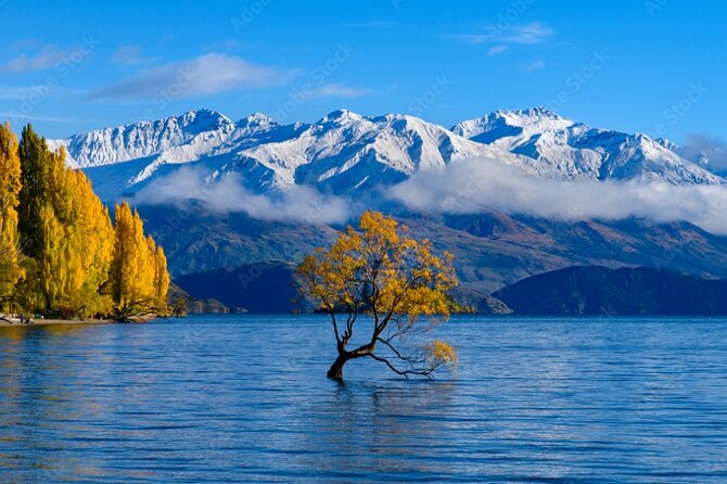 Christchurch to Queenstown 2 Day Tour via Franz Josef - Arthur’s Pass gives the first big mountain section