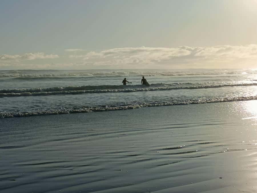 “City & Coast & Country” – A Relaxed Day Tour from Auckland - A West Coast escape without leaving Auckland far behind