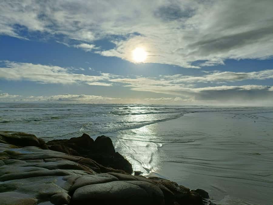 “City & Coast & Country” – A Relaxed Day Tour from Auckland - A guide-led route with room for stories