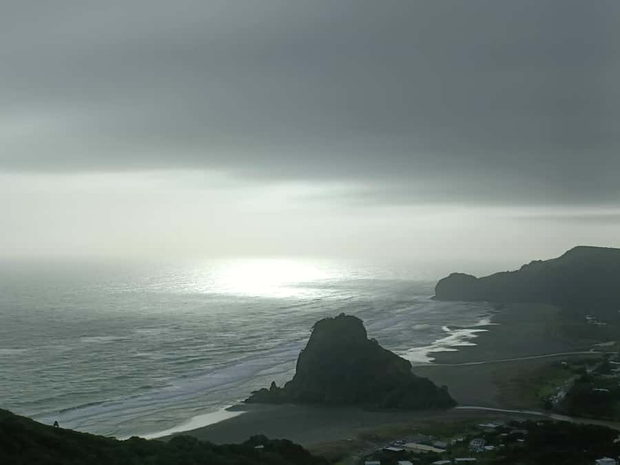 “City & Coast & Country” – A Relaxed Day Tour from Auckland - What the six-hour schedule feels like