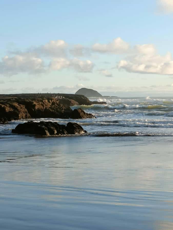 “City & Coast & Country” – A Relaxed Day Tour from Auckland - Who gets the best value from this outing