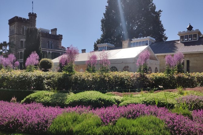 City Highlights, Larnach Castle & Peninsula Views - Key points at a glance
