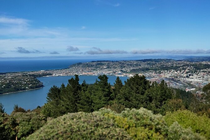 City Highlights, Larnach Castle & Peninsula Views - Larnach Castle Gardens and the optional interior visit