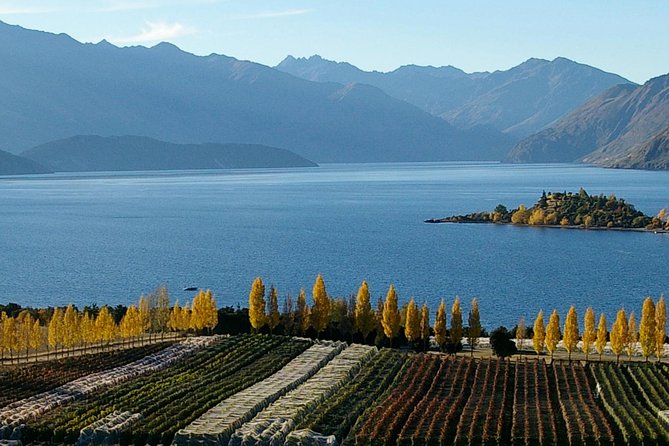 Classic Wanaka Wine Tour - First vineyard visits, with a broad tasting list