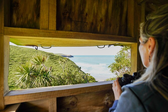 Clearwater Private Penguin & Wildlife Tour from Port Otago (5hrs) - Food, clothing, and the practical details that matter