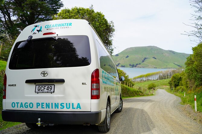 Clearwater Private Penguin & Wildlife Tour from Port Otago (5hrs) - Is $2,451.26 a fair price?