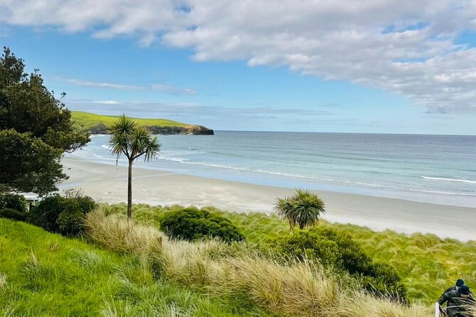 Clearwater Wildlife Tours (small group 10max) Otago Peninsula - Why the group size matters