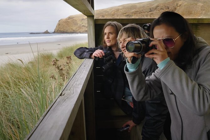 Clearwater Wildlife Tours (small group 10max) Otago Peninsula - What the $139.63 price gets you