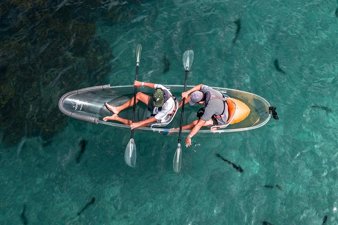 Clearyak hire at Goat Island Marine Reserve - Key points at a glance
