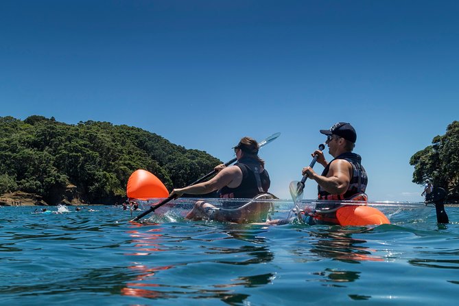 Clearyak hire at Goat Island Marine Reserve - A private paddle instead of a group tour