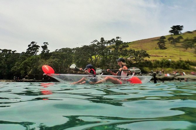 Clearyak hire at Goat Island Marine Reserve - What you can see beneath the kayak