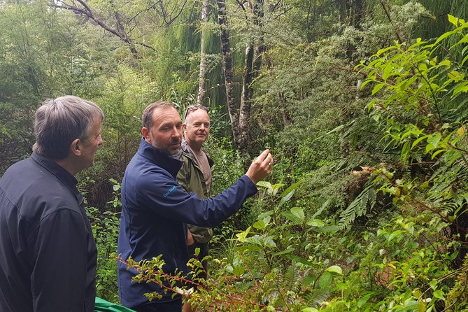 Coast and Rainforest Eco-Tour from Auckland with Picnic Lunch - Why this Auckland day trip works so well
