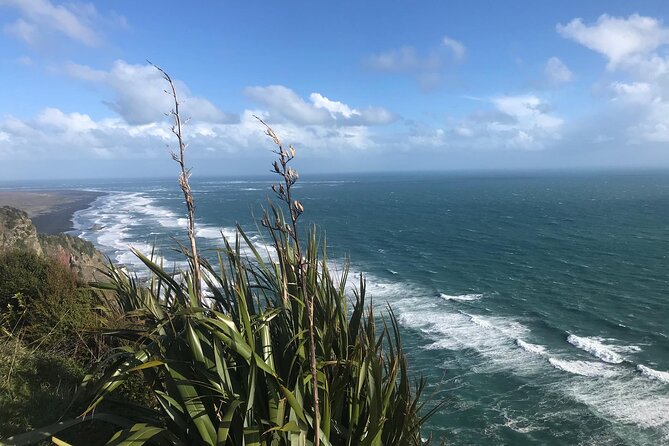 Coast and Rainforest Eco-Tour from Auckland with Picnic Lunch - The guides shape the quality of the day