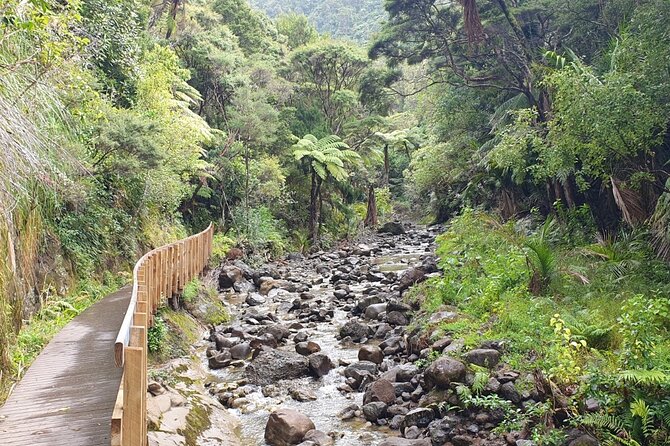 Coast and Rainforest Eco-Tour from Auckland with Picnic Lunch - Arataki Visitor Centre gives you the proper introduction