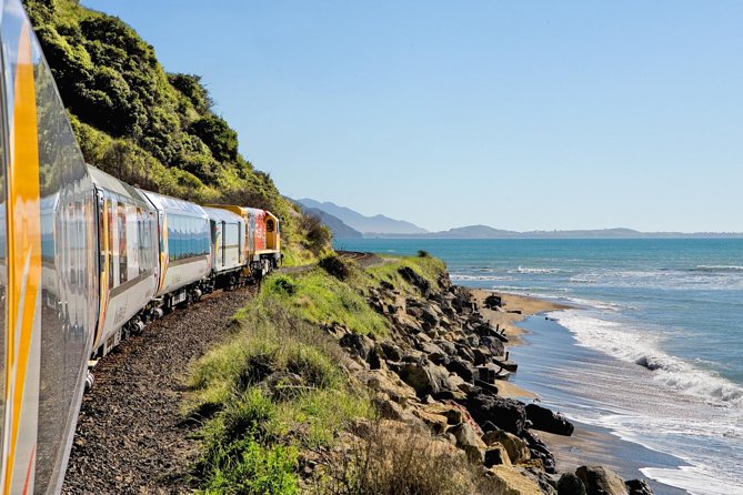 Coastal Pacific Train Journey from Picton to Christchurch - Key points to know before booking
