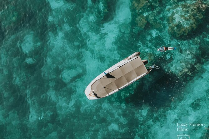 Coromandel Adventure and Wildlife Boat Tour to Aldermen Islands - Key points at a glance