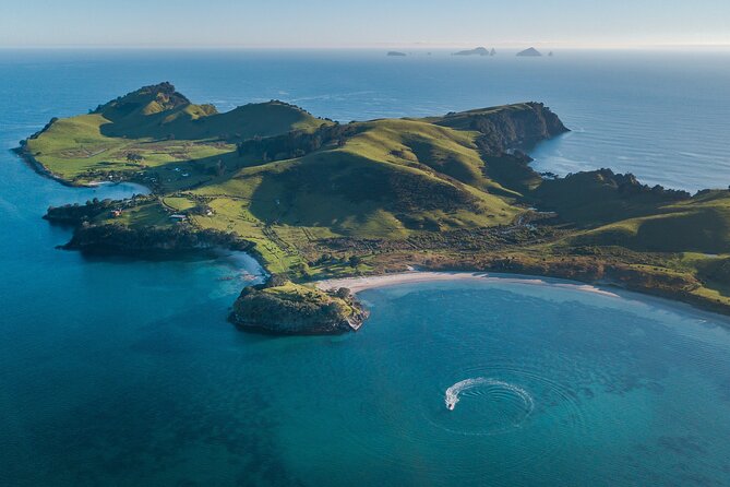 Coromandel Adventure and Wildlife Boat Tour to Aldermen Islands - Why the Aldermen Islands are worth the boat ride