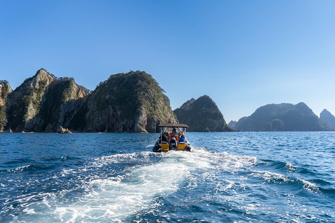 Coromandel Adventure and Wildlife Boat Tour to Aldermen Islands - Reading the volcanic cliffs of the Aldermen Islands