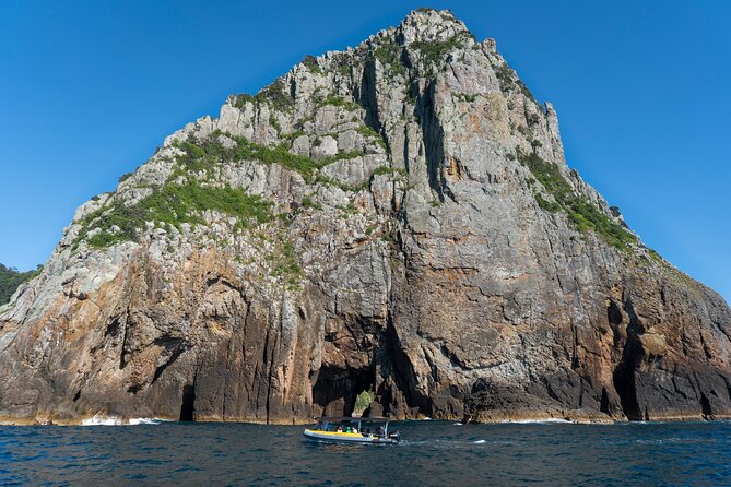 Coromandel Adventure and Wildlife Boat Tour to Aldermen Islands - Seasonal snorkeling and swimming