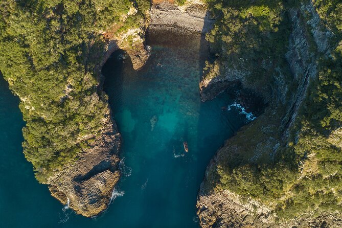 Coromandel Adventure and Wildlife Boat Tour to Aldermen Islands - What the two-hour length means