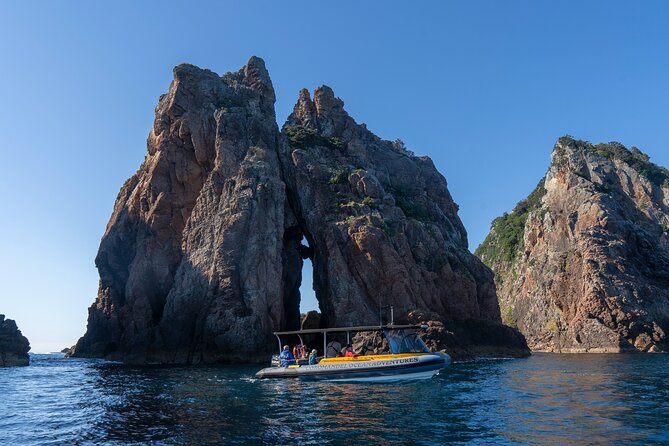 Coromandel Adventure and Wildlife Boat Tour to Aldermen Islands - Is $102.39 good value?