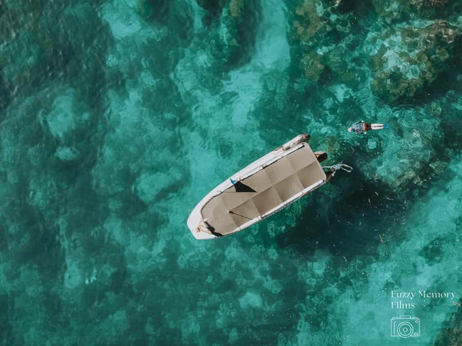 Coromandel: Aldermen Islands Marine Reserve Wildlife Cruise - Key points to know before you book