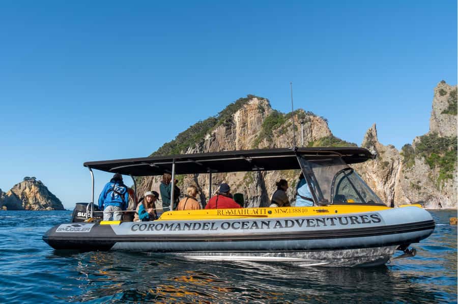 Coromandel: Aldermen Islands Marine Reserve Wildlife Cruise - Wildlife watching on open water
