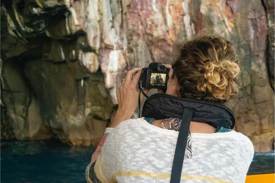 Coromandel: Aldermen Islands Marine Reserve Wildlife Cruise - The guide makes a difference