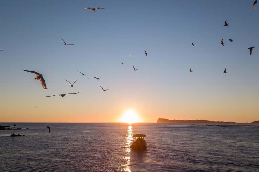 Coromandel: Aldermen Islands Marine Reserve Wildlife Cruise - Who will enjoy this cruise most?