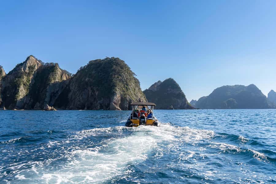 Coromandel: Aldermen Islands Marine Reserve Wildlife Cruise - Practical packing advice for the boat