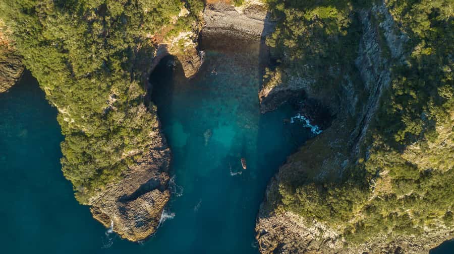 Coromandel: Aldermen Islands Marine Reserve Wildlife Cruise - The Aldermen Islands, a rare quiet corner of the Coromandel