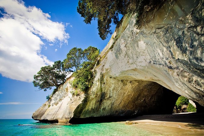 Coromandel Coastal Experience - Small Group Tour from Auckland - Why this Coromandel day trip works from Auckland