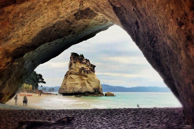 Coromandel Coastal Experience - Small Group Tour from Auckland - Digging a spa at Hot Water Beach