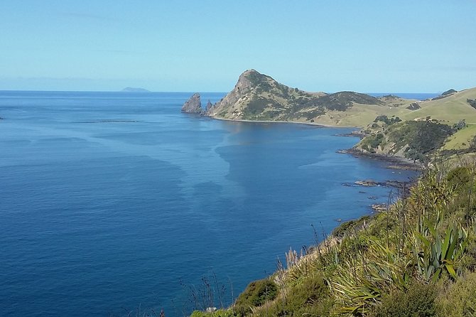 Coromandel Coastal Experience - Small Group Tour from Auckland - What the guide and minibus add