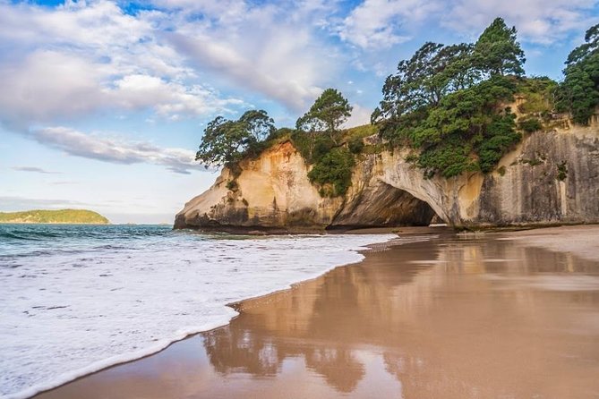Coromandel Coastal Experience - Small Group Tour from Auckland - The return to Auckland and the true value
