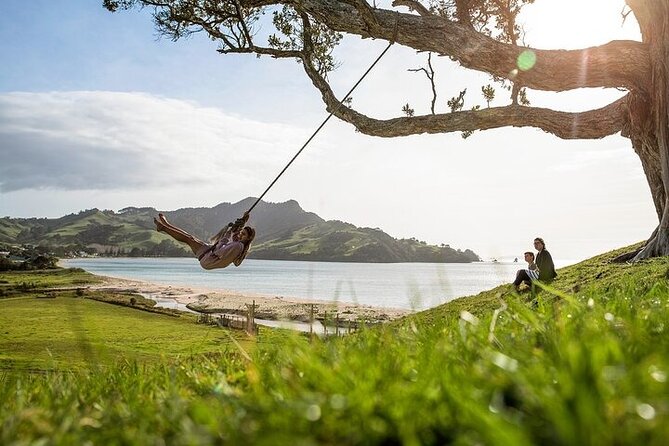 Coromandel Day Tour From Auckland - The coastal walk to Cathedral Cove