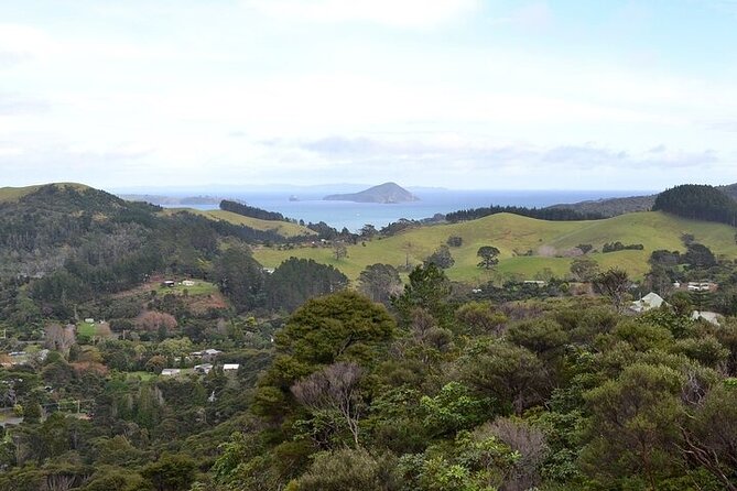 Coromandel Day Tour From Auckland - What the guide adds during a long touring day