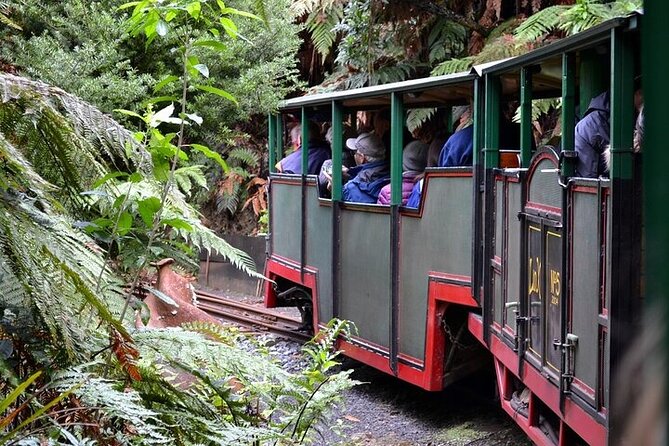 Coromandel Day Tour From Auckland - Is $284.84 good value?